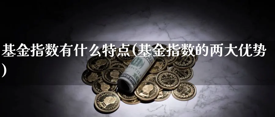 基金指数有什么特点(基金指数的两大优势)_https://www.yunsqy.com_期货技术_第1张