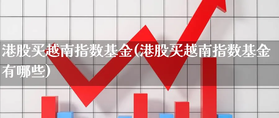 港股买越南指数基金(港股买越南指数基金有哪些)_https://www.yunsqy.com_理财百科_第1张