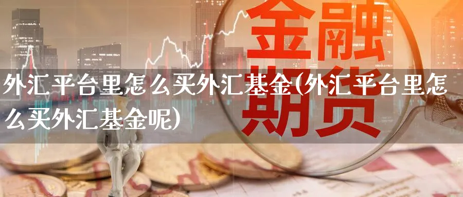 外汇平台里怎么买外汇基金(外汇平台里怎么买外汇基金呢)_https://www.yunsqy.com_期货技术_第1张