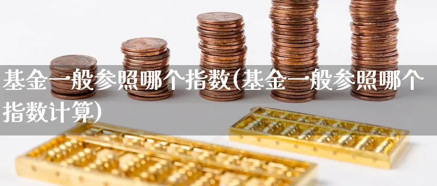 基金一般参照哪个指数(基金一般参照哪个指数计算)_https://www.yunsqy.com_期货直播_第1张