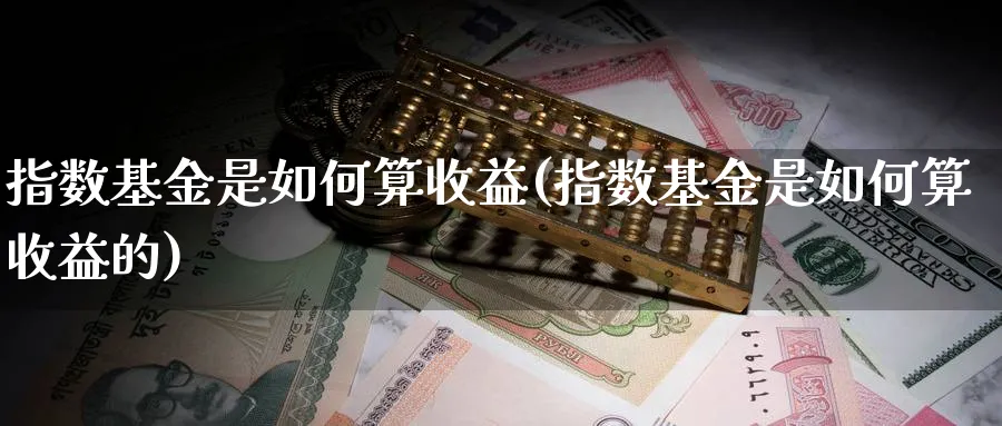 指数基金是如何算收益(指数基金是如何算收益的)_https://www.yunsqy.com_期货分类_第1张