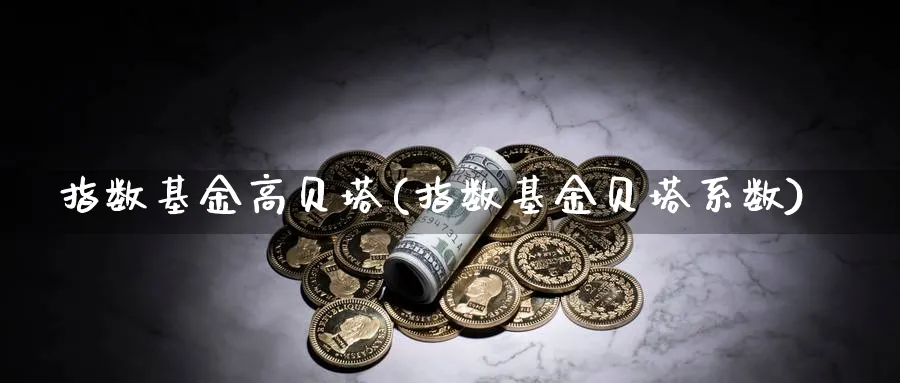 指数基金高贝塔(指数基金贝塔系数)_https://www.yunsqy.com_纳指期货_第1张