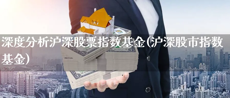 深度分析沪深股票指数基金(沪深股市指数基金)_https://www.yunsqy.com_期货分类_第1张