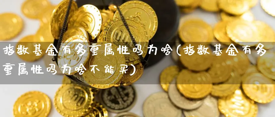 指数基金有多重属性吗为啥(指数基金有多重属性吗为啥不能买)_https://www.yunsqy.com_理财百科_第1张