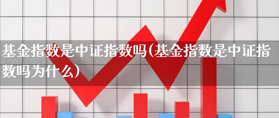 基金指数是中证指数吗(基金指数是中证指数吗为什么)_https://www.yunsqy.com_原油期货_第1张