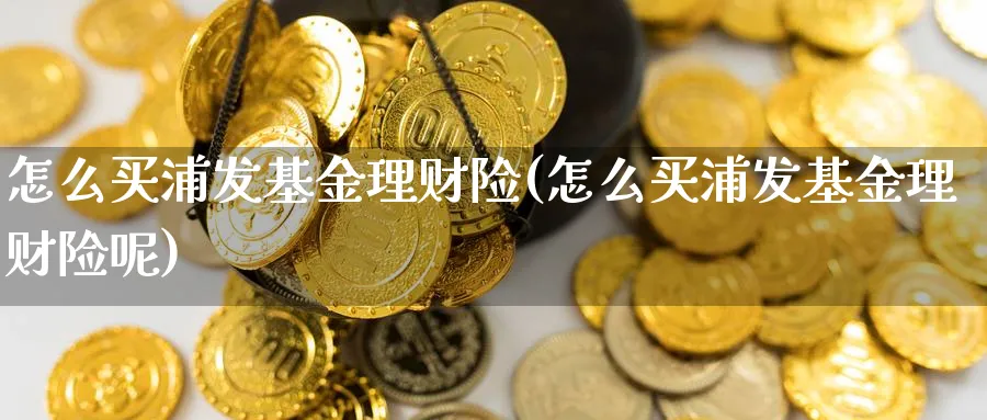 怎么买浦发基金理财险(怎么买浦发基金理财险呢)_https://www.yunsqy.com_期货理财_第1张